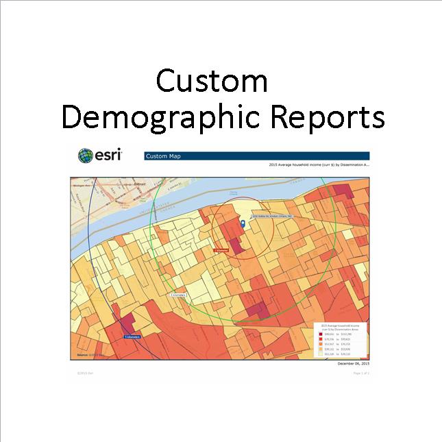 Custom Demographic Reports
